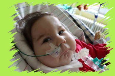 merle_05_klein.jpg (158934 Byte)