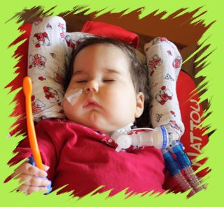 merle_06_klein.jpg (85304 Byte)